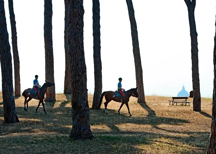 Pinewood