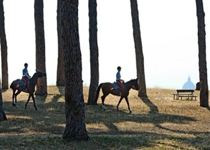 Pinewood Roma
