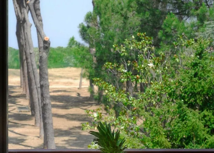 Pinewood Rome