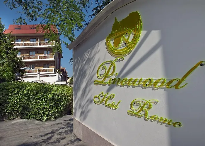Pinewood Hotel 4*